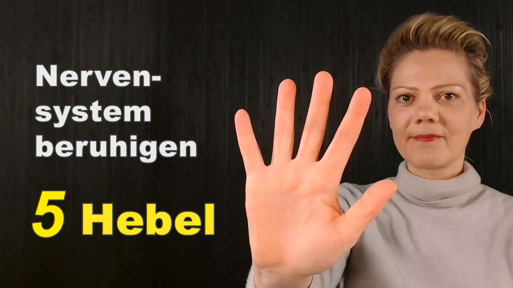 Thumbnail zum Erklärvideo Nervensystem regulieren